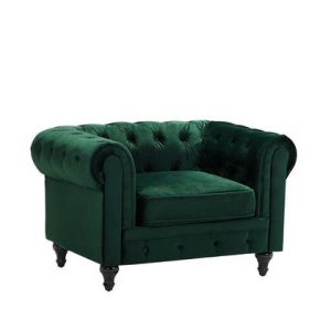 Fauteuil Beliani Groen