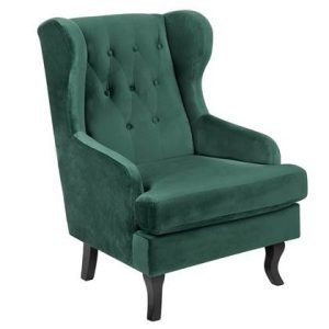 Fauteuil Beliani Groen