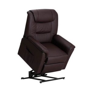 Fauteuil Monaica Bruin