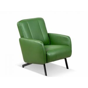 Fauteuil Lanterfant Groen