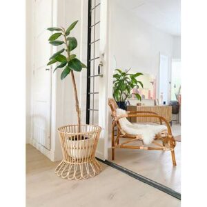 Eetkamerstoel Sweet Living Beige